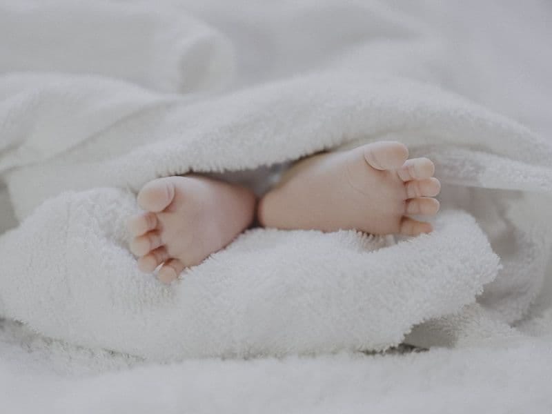 Her Trimester İçin Yapılacaklar Listesi